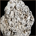 Ambergris