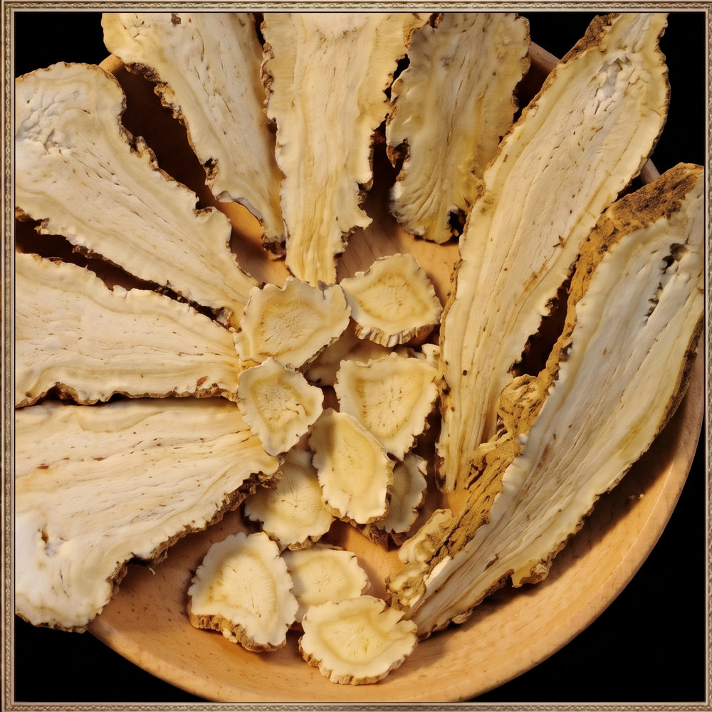 Angelica Sinensis