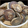 Shellac